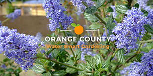 Municipal Water District of Orange County