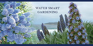 Water Wise Gardening in Orange County