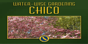 Chico Water Wise Gardening