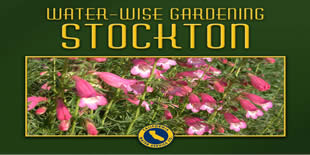 Stockton Water Wise Gardening