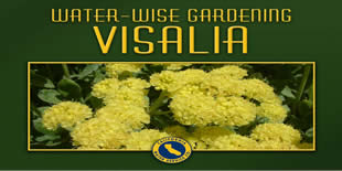 Visalia Water Wise Gardening
