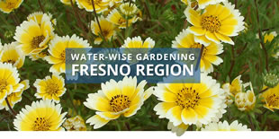 Fresno Region