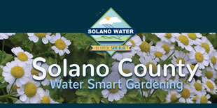 Water Wise Gardening in Solano County