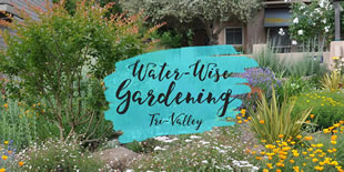 Water Wise Gardening in the Tri-Valley area